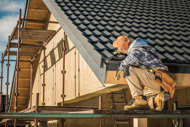 Best Roof Gutter Cleaning  in Burlington, IA