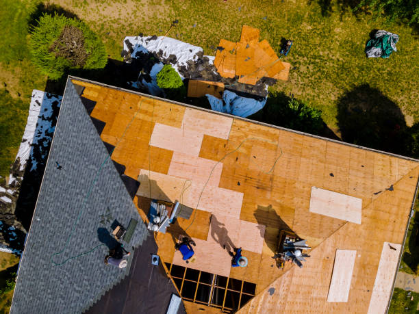 Best Shingle Roofing Installation  in Burlington, IA