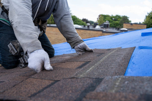 Best Residential Roofing Contractor  in Burlington, IA